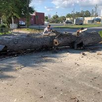 tree service in Pensacola FL