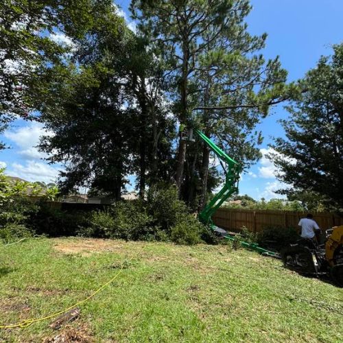 Tree Service in Pensacola FL