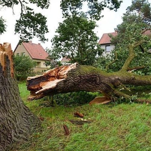 Storm Cleanup services