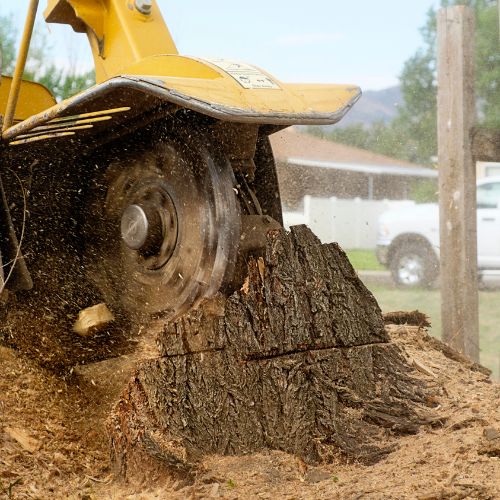 Stump-Grinding services