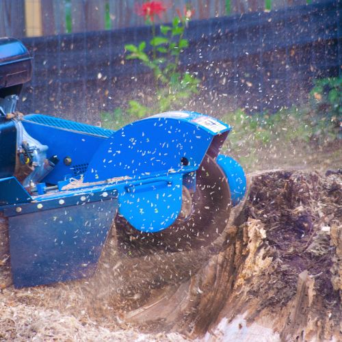 grinding tree stump