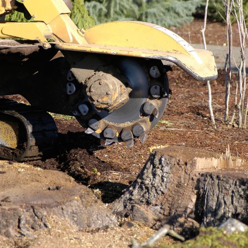 Stump-Grinding services